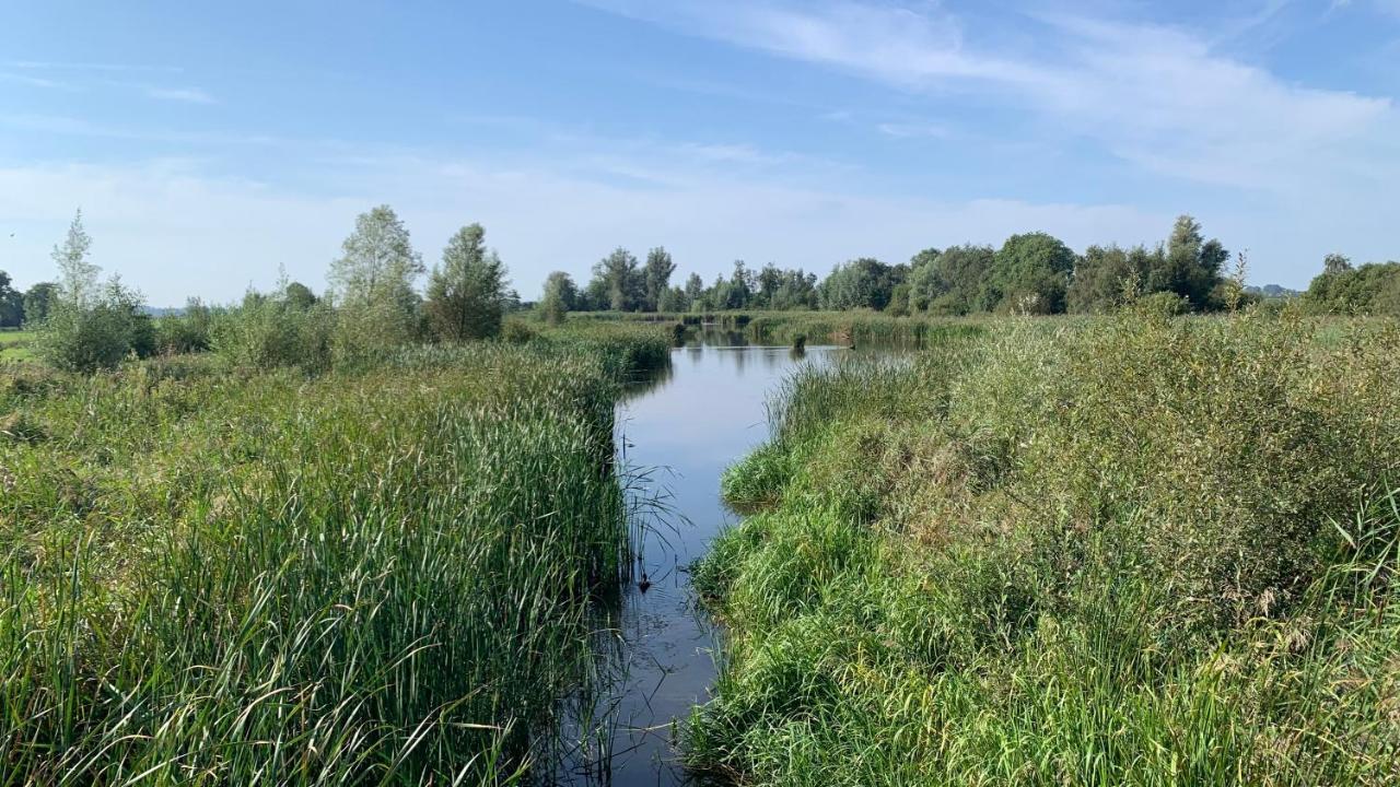 Offingawier 'T Paviljoenhus Bij Sneekermeer מראה חיצוני תמונה